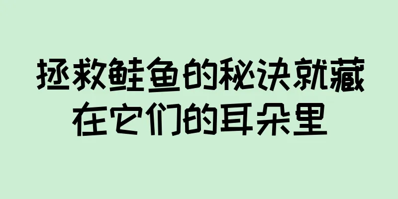拯救鲑鱼的秘诀就藏在它们的耳朵里