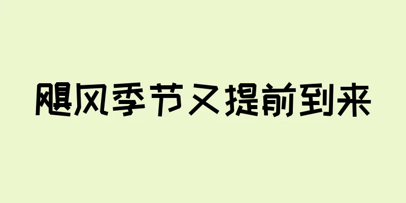 飓风季节又提前到来