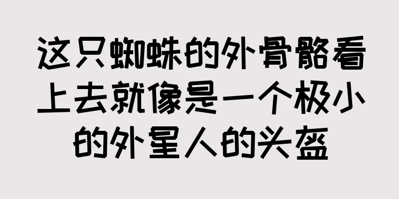 这只蜘蛛的外骨骼看上去就像是一个极小的外星人的头盔