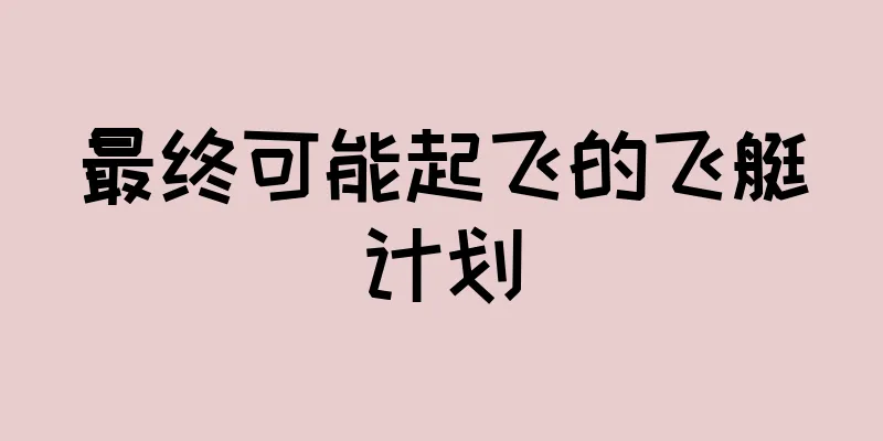 最终可能起飞的飞艇计划