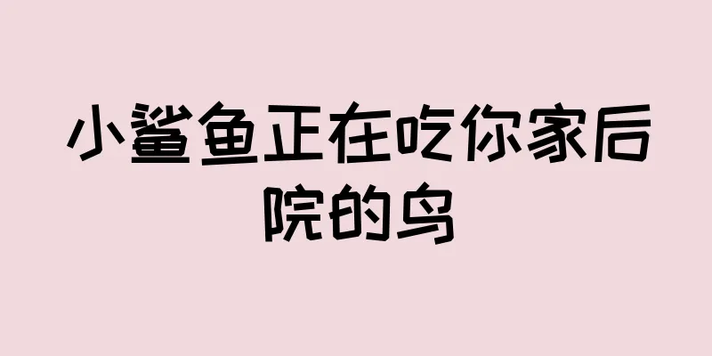 小鲨鱼正在吃你家后院的鸟