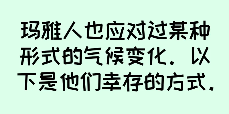 玛雅人也应对过某种形式的气候变化。以下是他们幸存的方式。