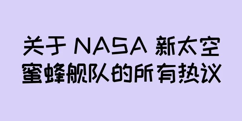 关于 NASA 新太空蜜蜂舰队的所有热议