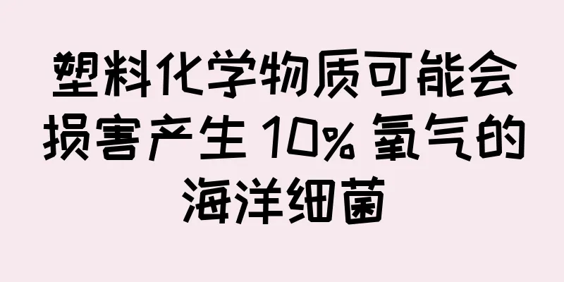 塑料化学物质可能会损害产生 10% 氧气的海洋细菌