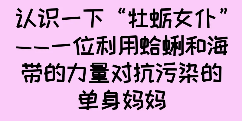 认识一下“牡蛎女仆”——一位利用蛤蜊和海带的力量对抗污染的单身妈妈