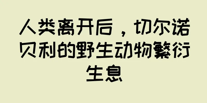 人类离开后，切尔诺贝利的野生动物繁衍生息