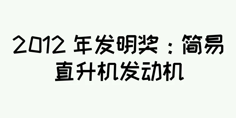 2012 年发明奖：简易直升机发动机