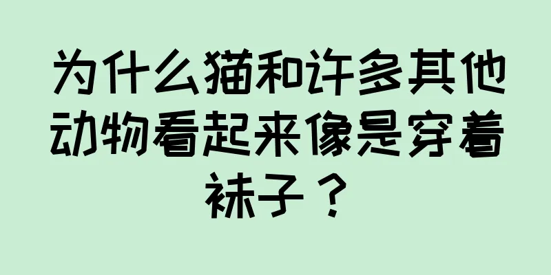 为什么猫和许多其他动物看起来像是穿着袜子？