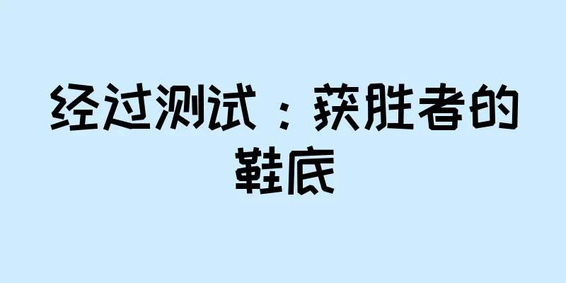 经过测试：获胜者的鞋底