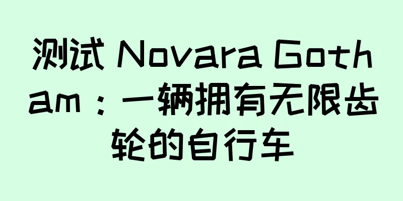 测试 Novara Gotham：一辆拥有无限齿轮的自行车