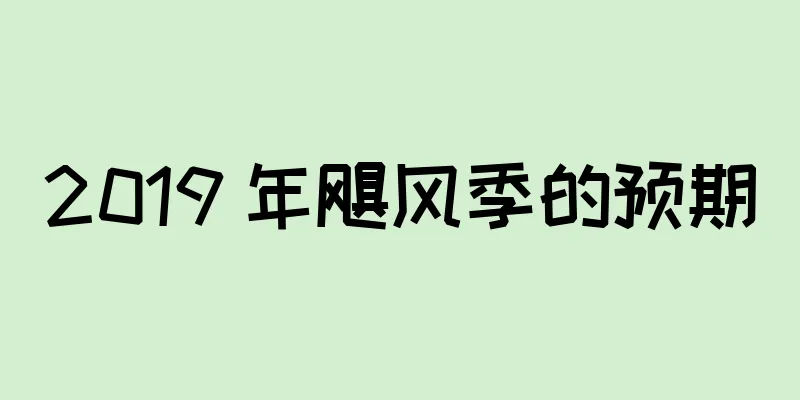 2019 年飓风季的预期