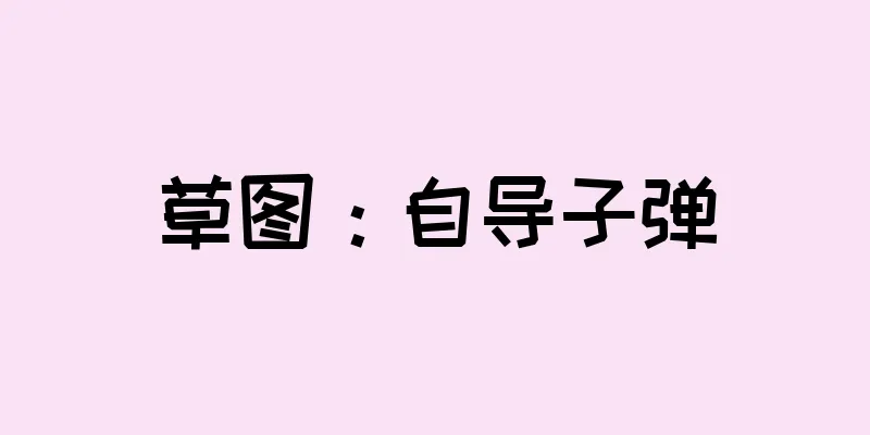 草图：自导子弹