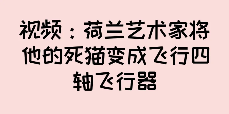 视频：荷兰艺术家将他的死猫变成飞行四轴飞行器