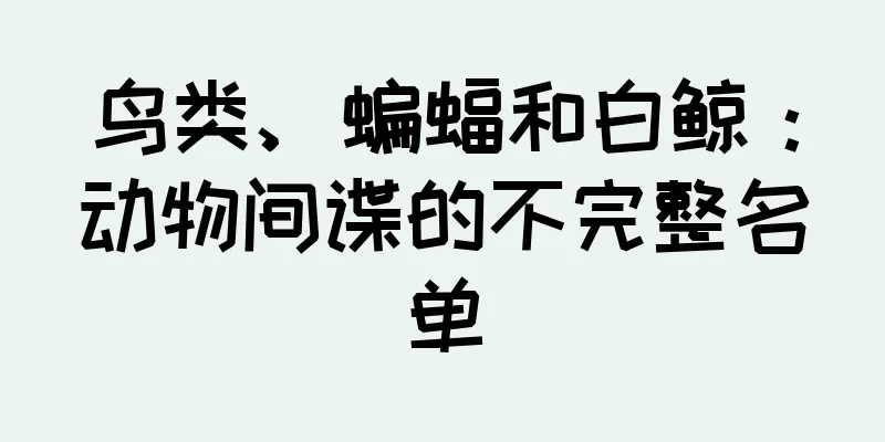 鸟类、蝙蝠和白鲸：动物间谍的不完整名单