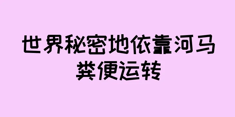 世界秘密地依靠河马粪便运转