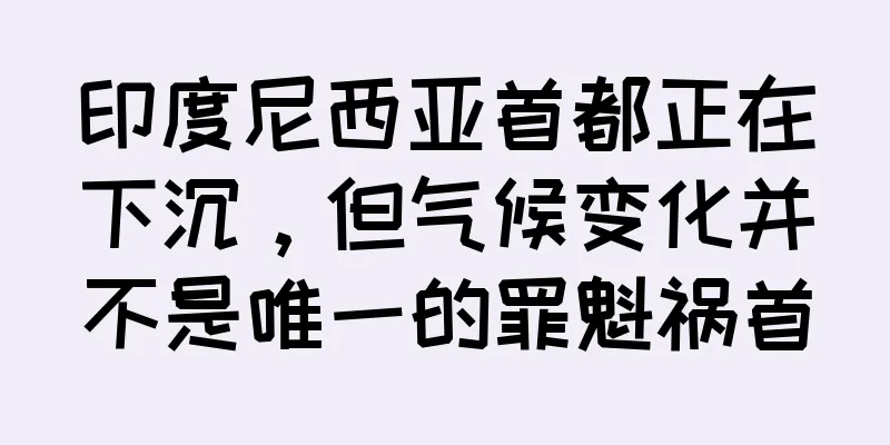 印度尼西亚首都正在下沉，但气候变化并不是唯一的罪魁祸首