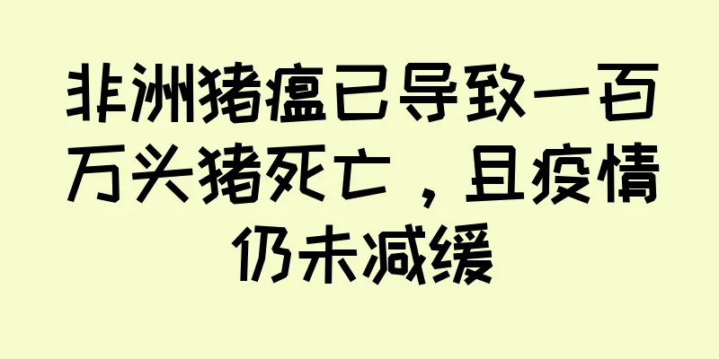非洲猪瘟已导致一百万头猪死亡，且疫情仍未减缓