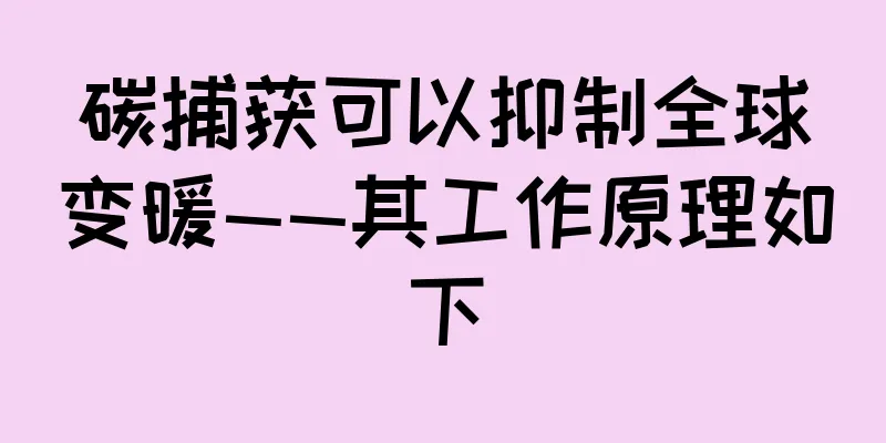 碳捕获可以抑制全球变暖——其工作原理如下