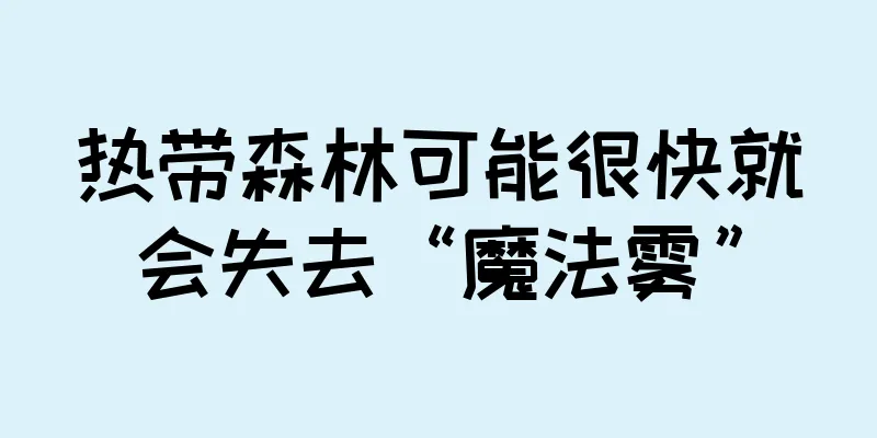 热带森林可能很快就会失去“魔法雾”