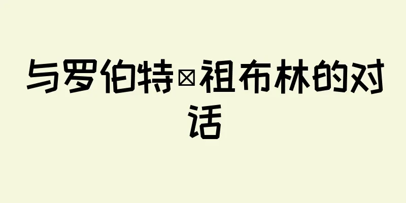 与罗伯特·祖布林的对话