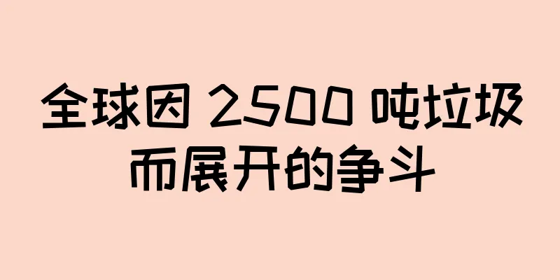 全球因 2500 吨垃圾而展开的争斗