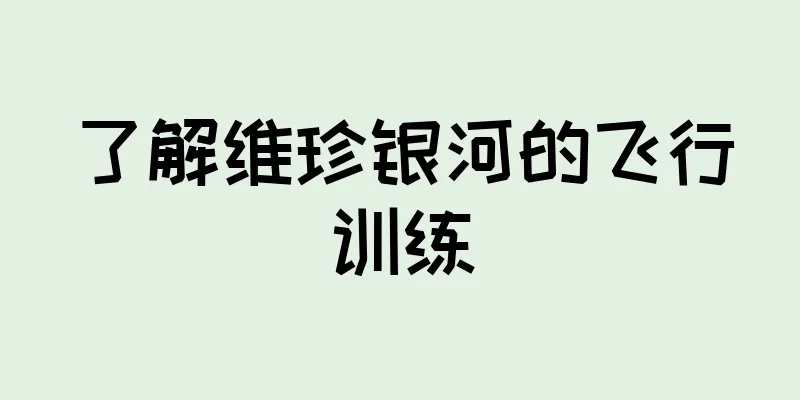 了解维珍银河的飞行训练