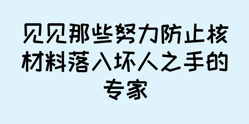 见见那些努力防止核材料落入坏人之手的专家