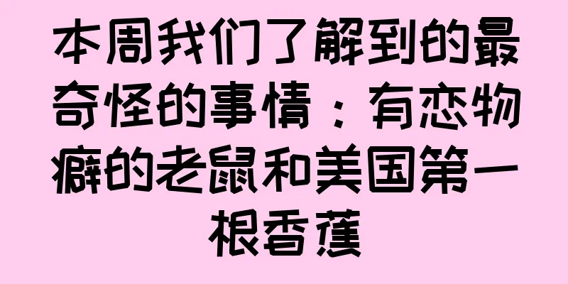 本周我们了解到的最奇怪的事情：有恋物癖的老鼠和美国第一根香蕉