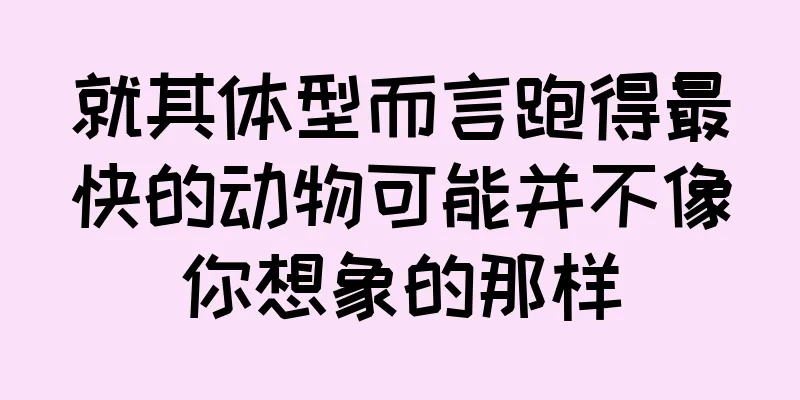 就其体型而言跑得最快的动物可能并不像你想象的那样