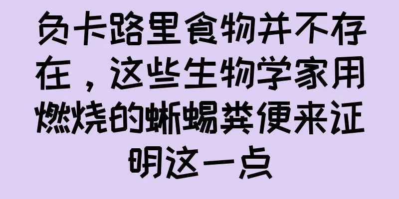 负卡路里食物并不存在，这些生物学家用燃烧的蜥蜴粪便来证明这一点