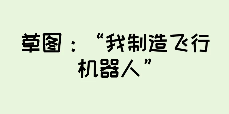 草图：“我制造飞行机器人”
