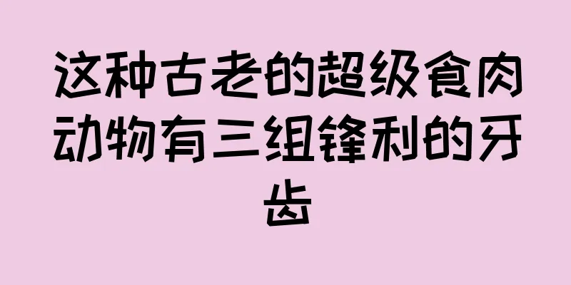 这种古老的超级食肉动物有三组锋利的牙齿