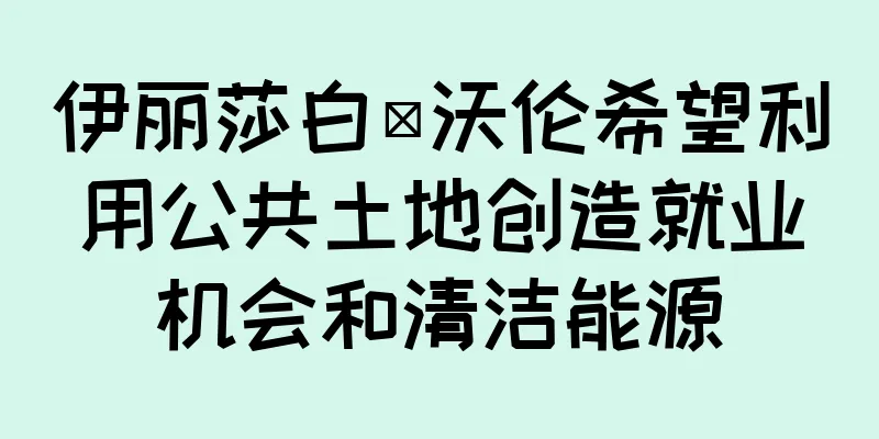 伊丽莎白·沃伦希望利用公共土地创造就业机会和清洁能源