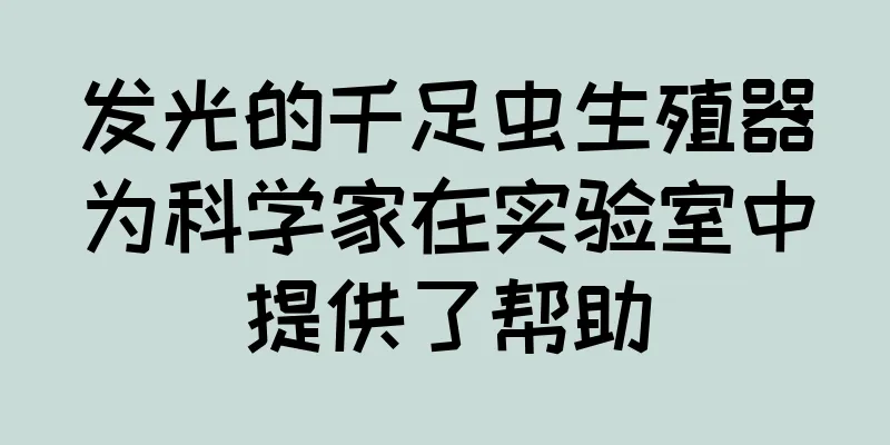 发光的千足虫生殖器为科学家在实验室中提供了帮助