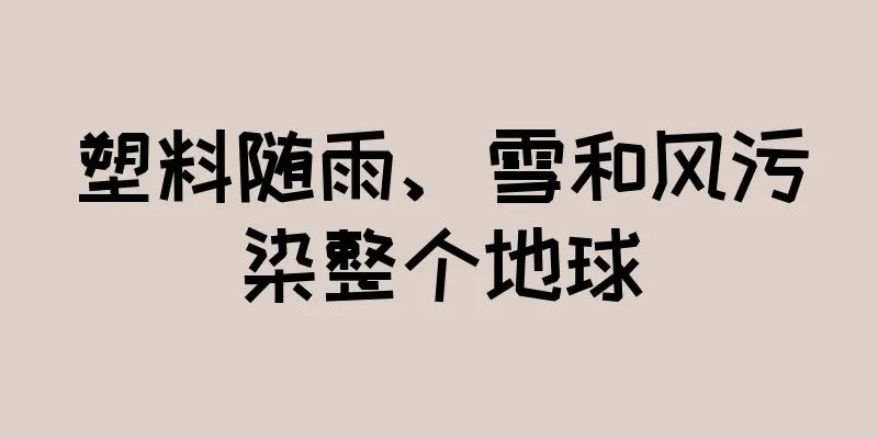 塑料随雨、雪和风污染整个地球