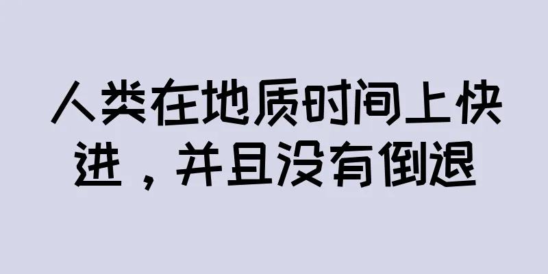 人类在地质时间上快进，并且没有倒退