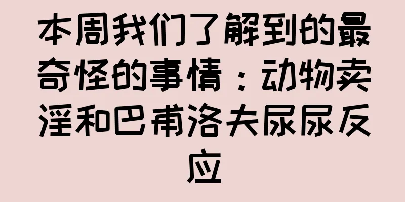 本周我们了解到的最奇怪的事情：动物卖淫和巴甫洛夫尿尿反应