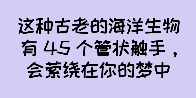 这种古老的海洋生物有 45 个管状触手，会萦绕在你的梦中