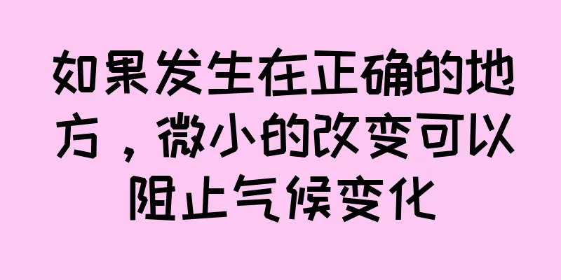 如果发生在正确的地方，微小的改变可以阻止气候变化
