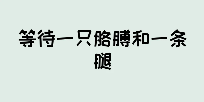 等待一只胳膊和一条腿