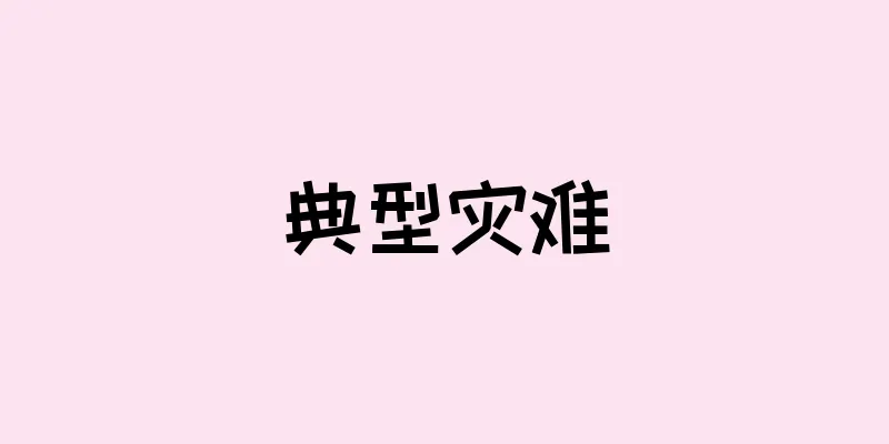 典型灾难