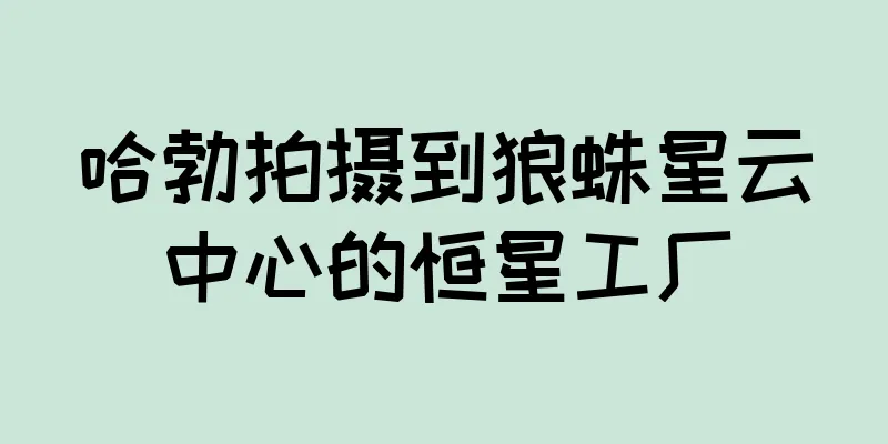 哈勃拍摄到狼蛛星云中心的恒星工厂