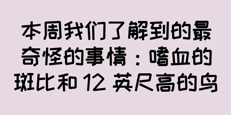本周我们了解到的最奇怪的事情：嗜血的斑比和 12 英尺高的鸟