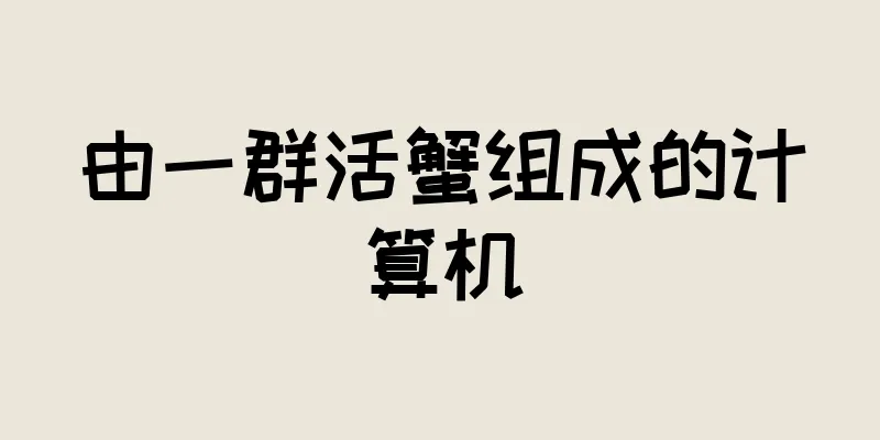 由一群活蟹组成的计算机