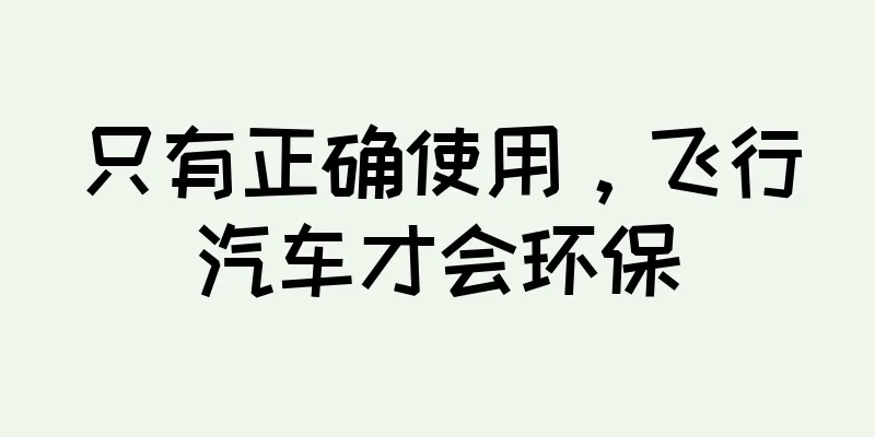 只有正确使用，飞行汽车才会环保