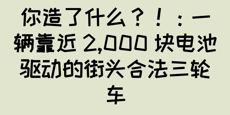 你造了什么？！：一辆靠近 2,000 块电池驱动的街头合法三轮车