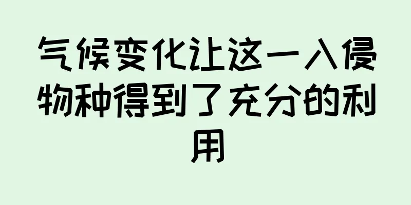 气候变化让这一入侵物种得到了充分的利用