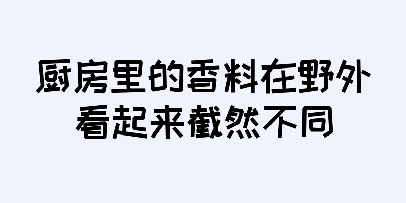 厨房里的香料在野外看起来截然不同