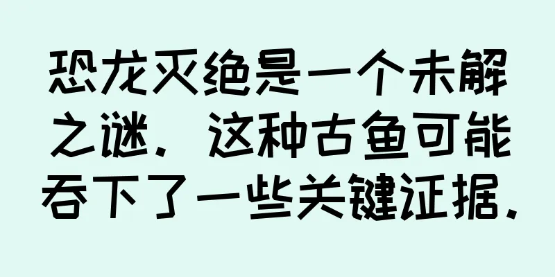 恐龙灭绝是一个未解之谜。这种古鱼可能吞下了一些关键证据。