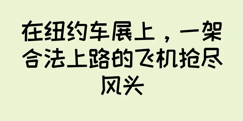 在纽约车展上，一架合法上路的飞机抢尽风头